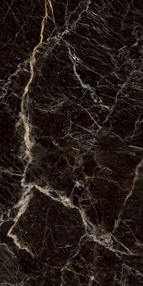 ZEBRANO BLACK view 5
