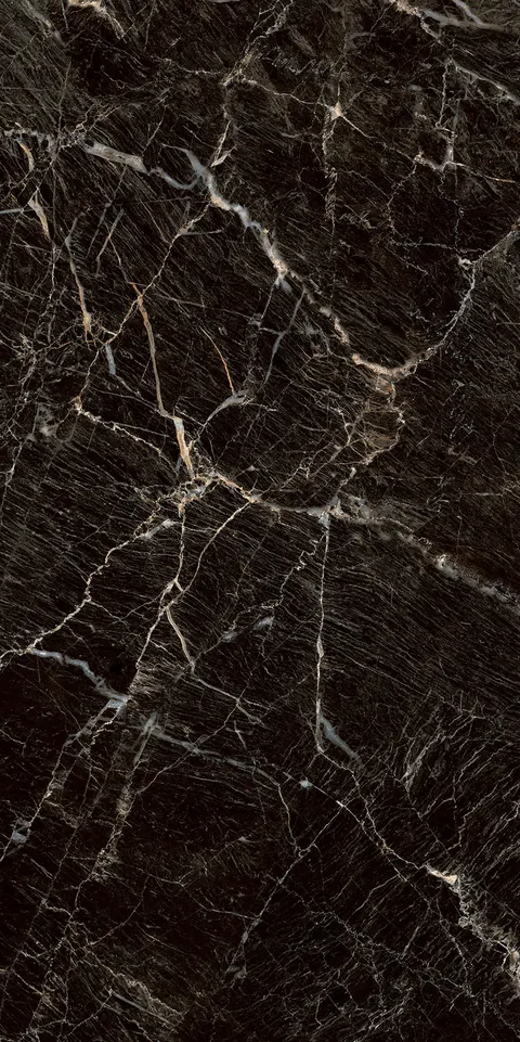 ZEBRANO BLACK view 6