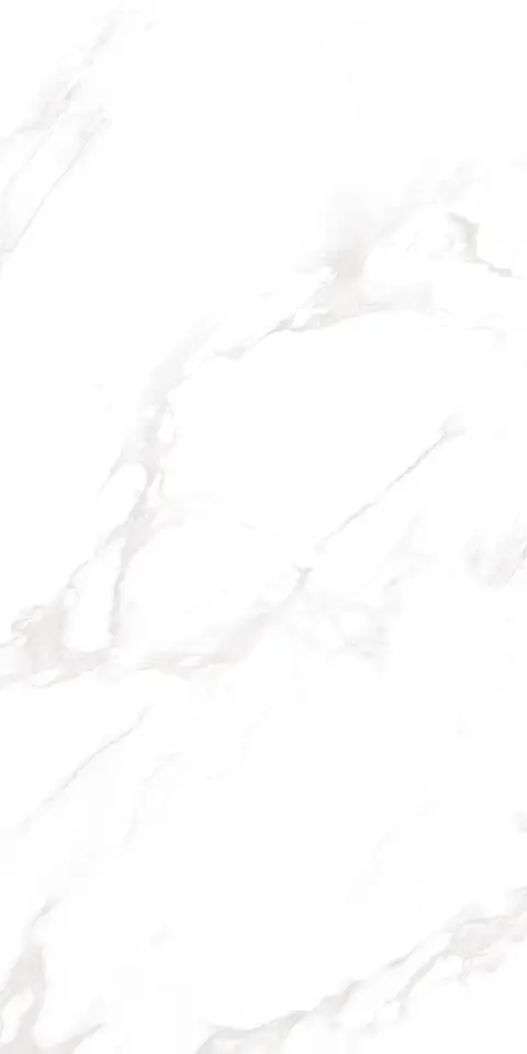 ZETCH WHITE view 2