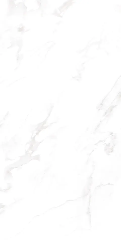 ZETCH WHITE view 3