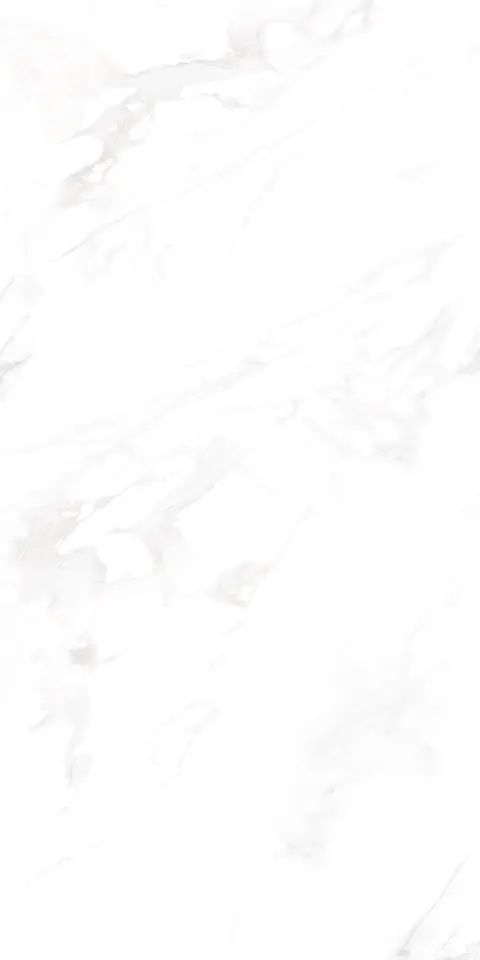 ZETCH WHITE view 4
