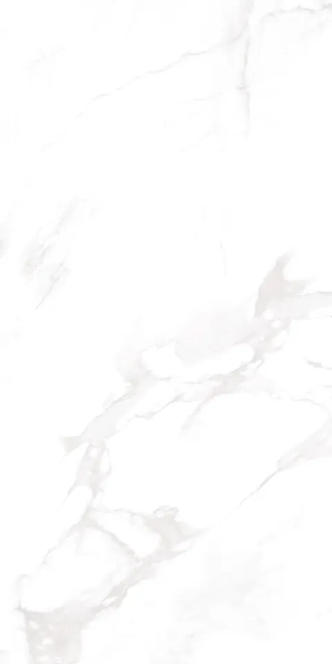 ZETCH WHITE view 5