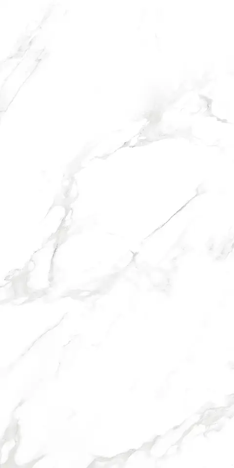 ZETCH WHITE GLIT view 2