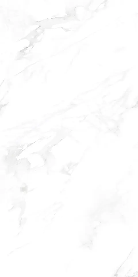 ZETCH WHITE GLIT view 4
