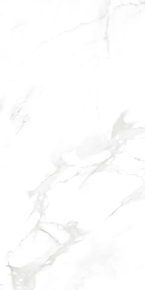 ZETCH WHITE GLIT view 5
