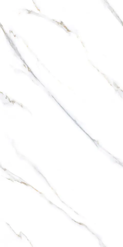 ZION WHITE TING view 2