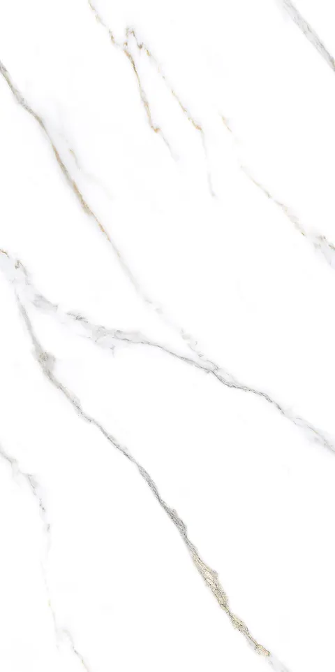 ZION WHITE TING view 6