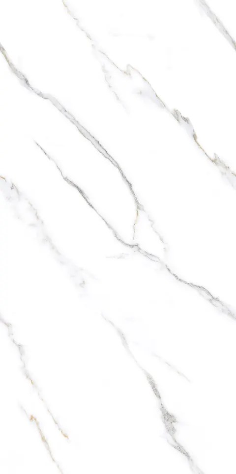 ZION WHITE TING view 8