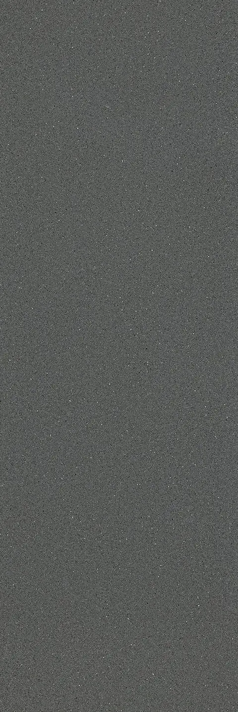 SAGO CHARCOAL