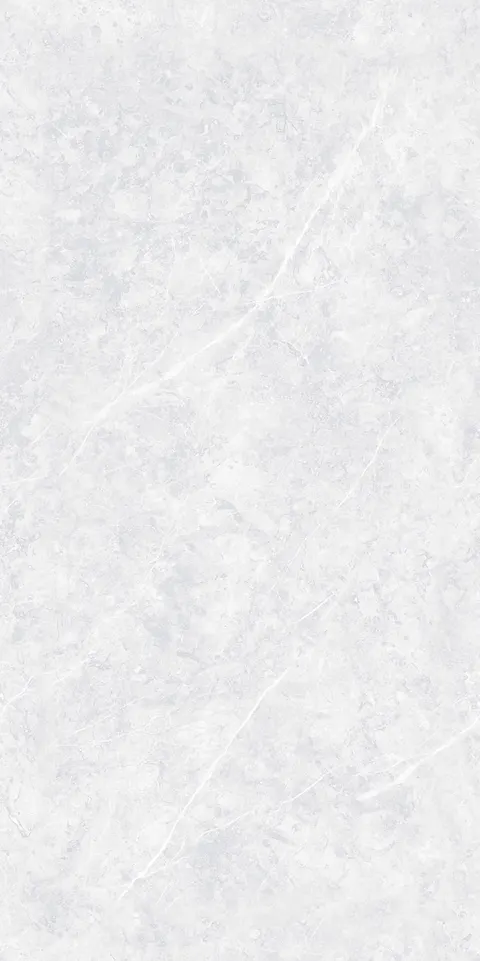 ARNITE BIANCO view 5