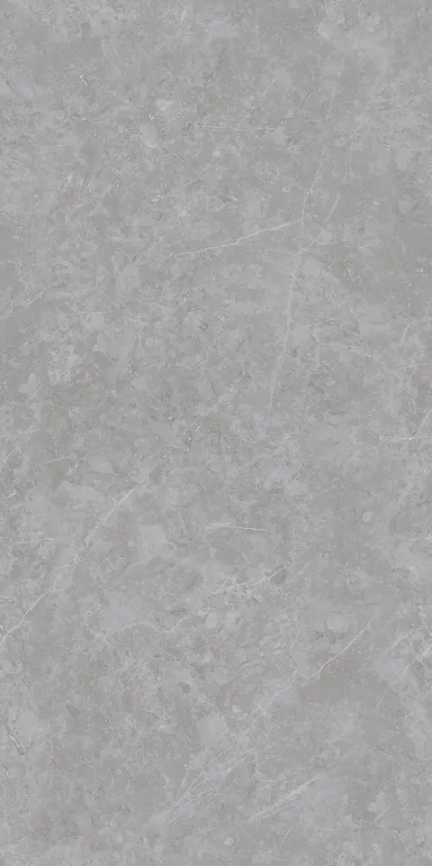 ARNITE GREY view 3