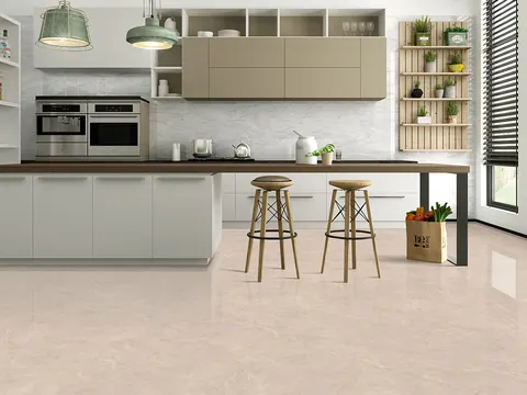 ALONZO CREMA view 1
