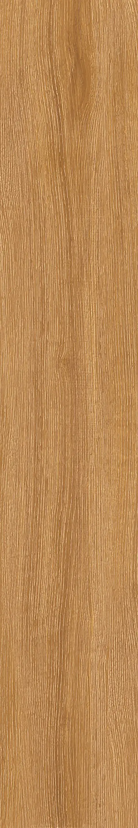 SANDLE WOOD CIDER