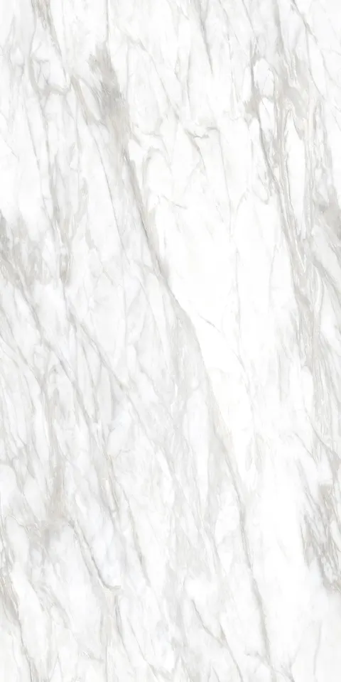 LUCATERRA WHITE