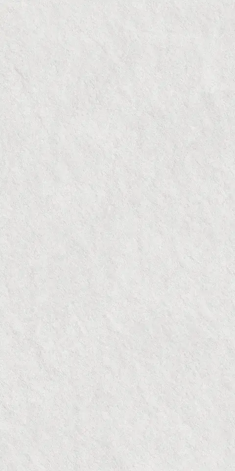 CEMEXA SILVER