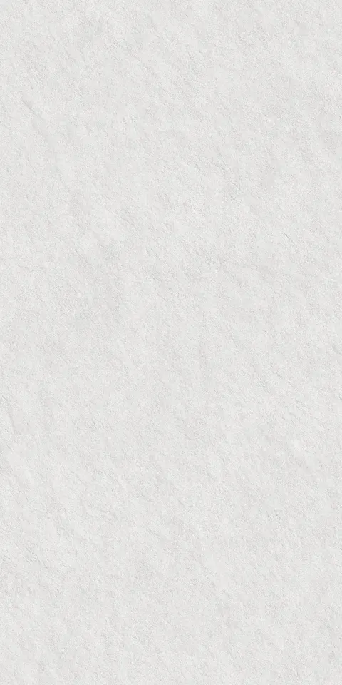 CEMEXA SILVER