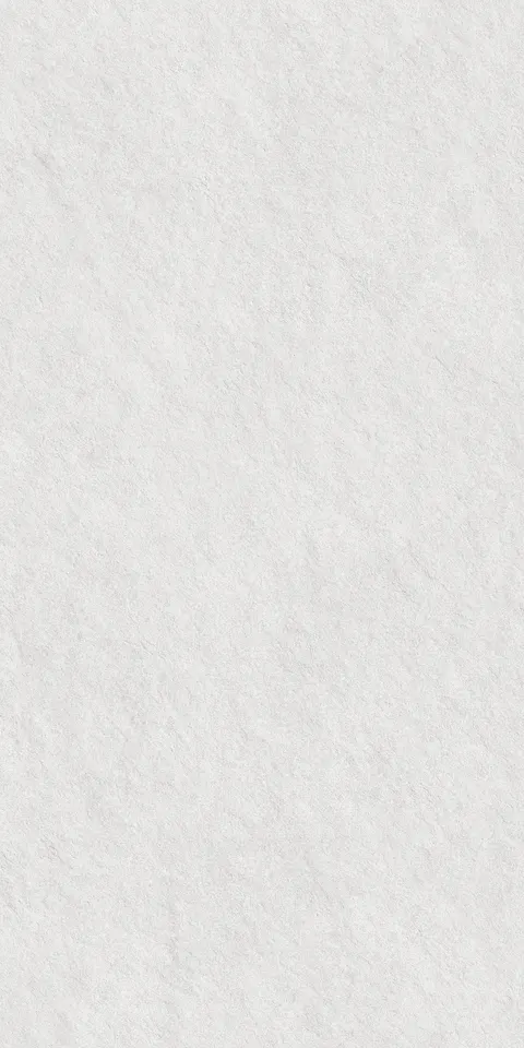 CEMEXA SILVER