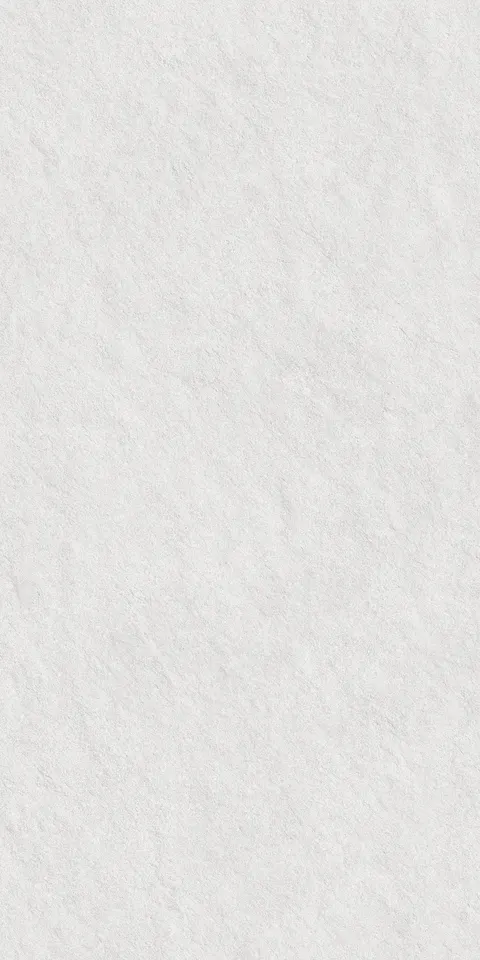CEMEXA SILVER