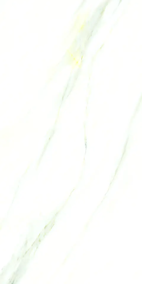 PALIDO WHITE