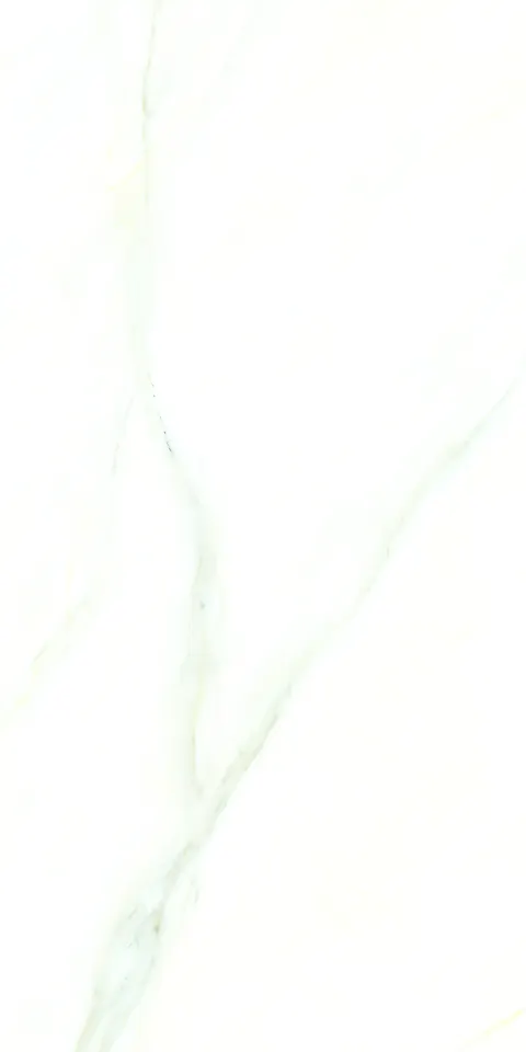 PALIDO WHITE