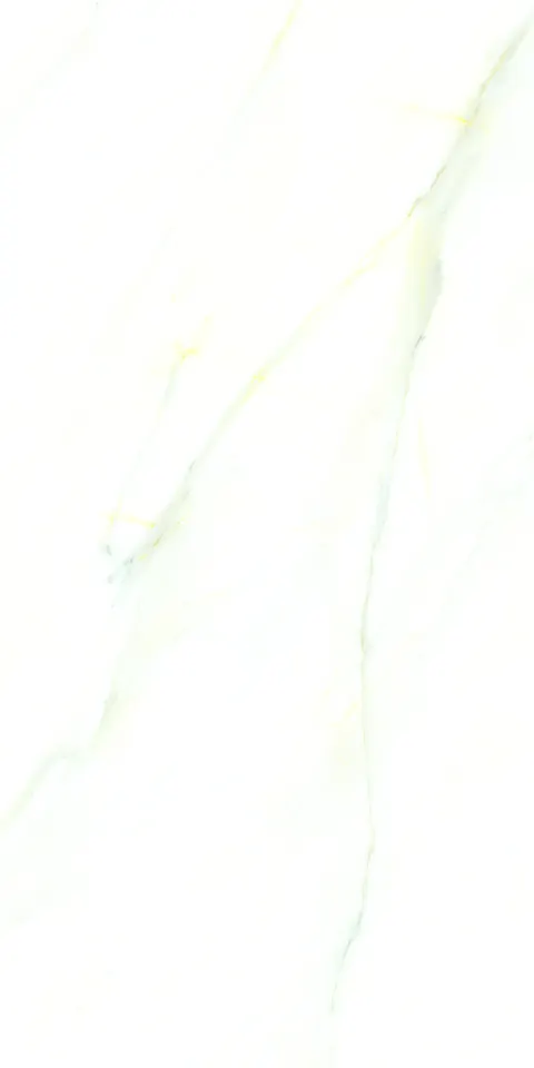 PALIDO WHITE
