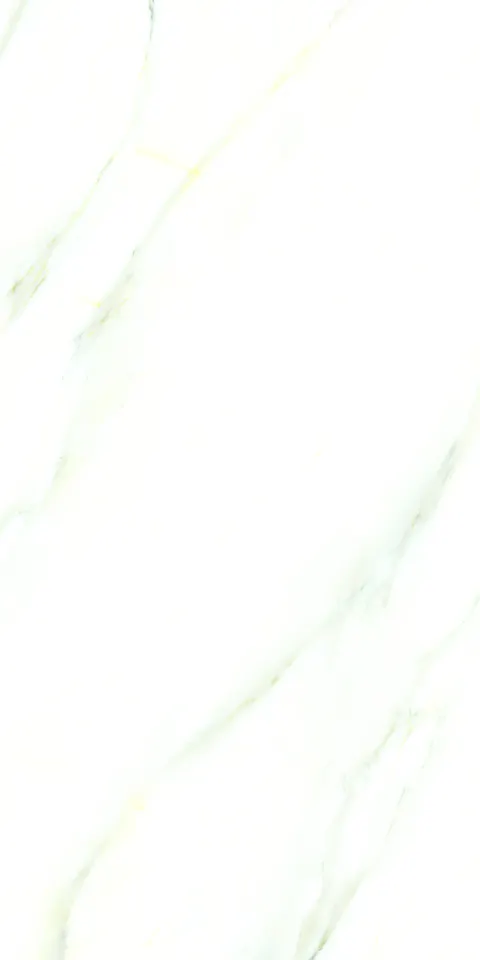 PALIDO WHITE