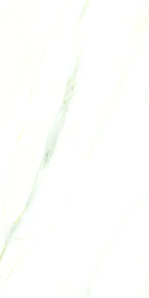 PALIDO WHITE