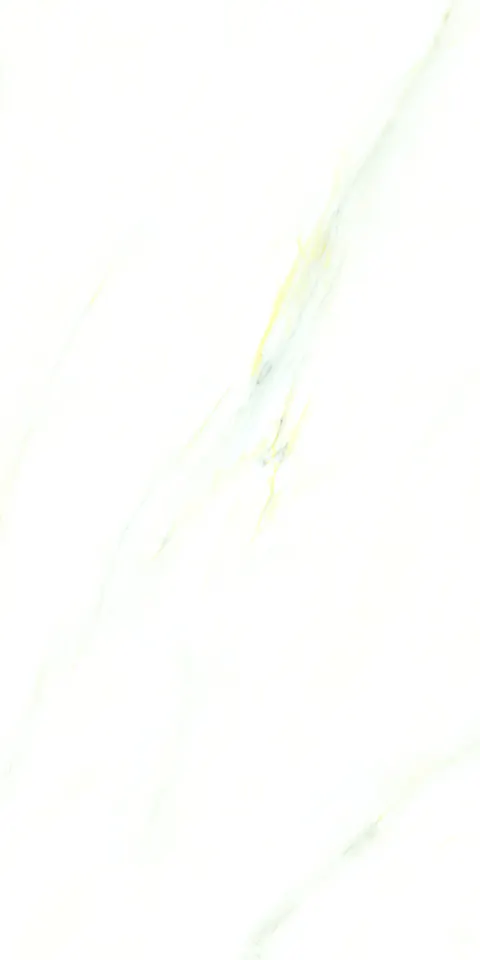 PALIDO WHITE