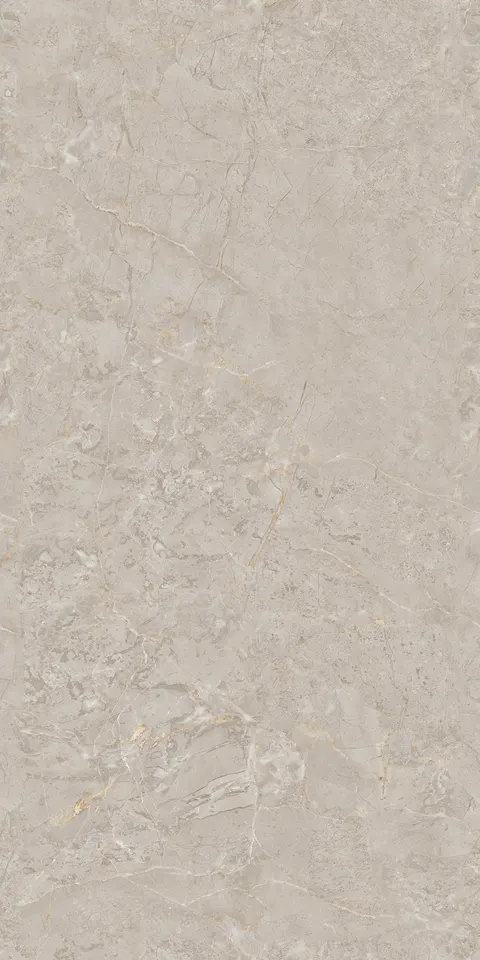 BELVE GREY view 5