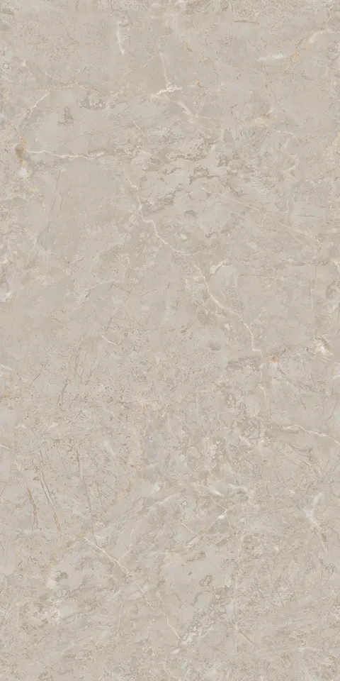BELVE GREY view 6