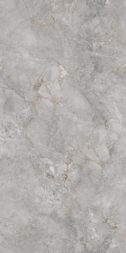 FOSSIL LIGHT GREY EVO