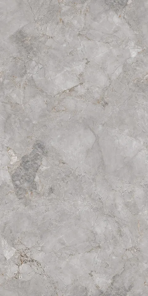 FOSSIL LIGHT GREY EVO