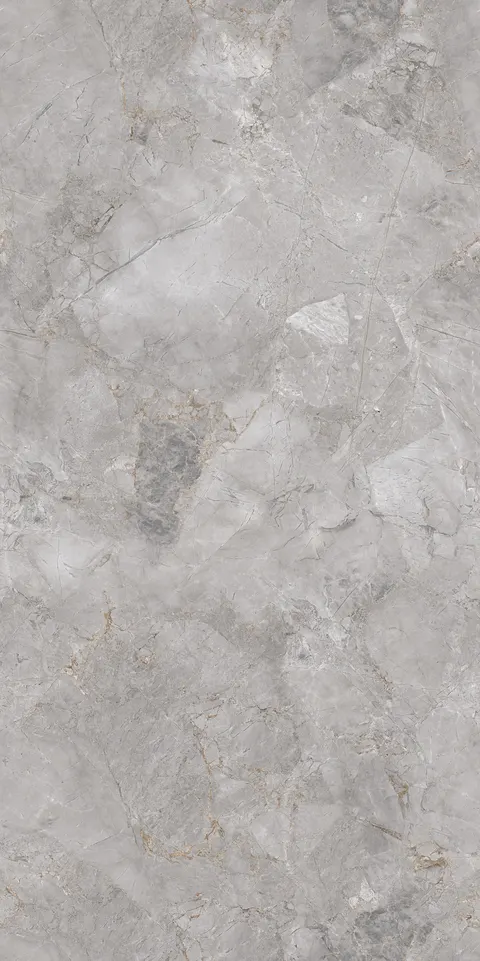 FOSSIL LIGHT GREY EVO