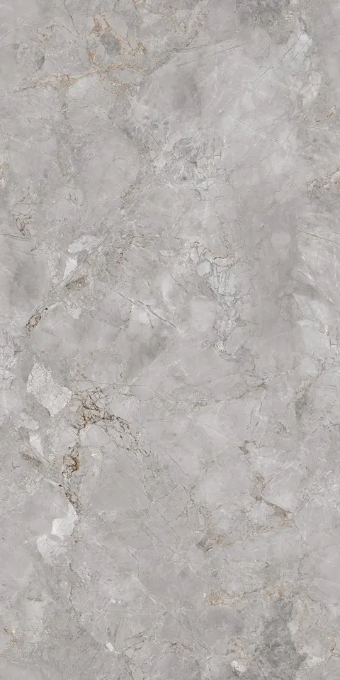 FOSSIL LIGHT GREY EVO