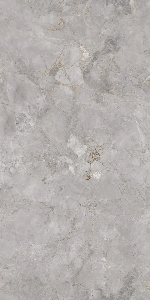 FOSSIL LIGHT GREY EVO