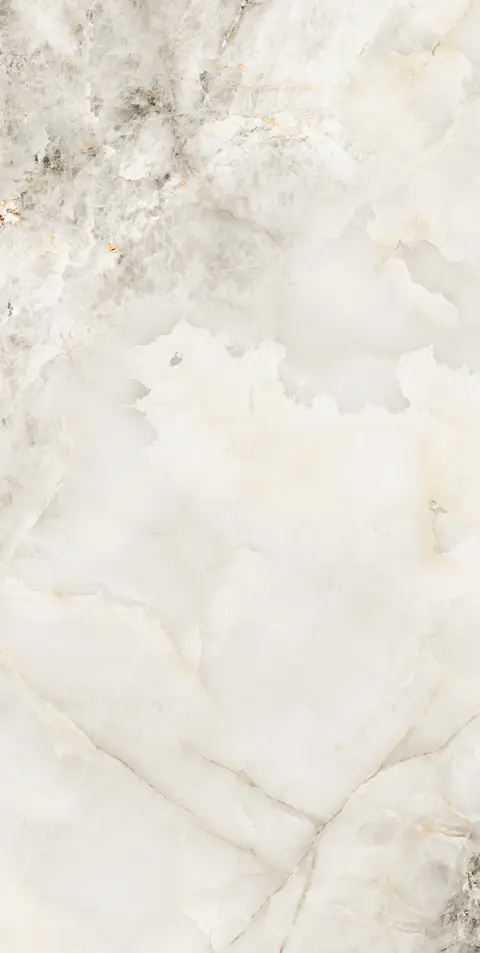 INTRA WHITE