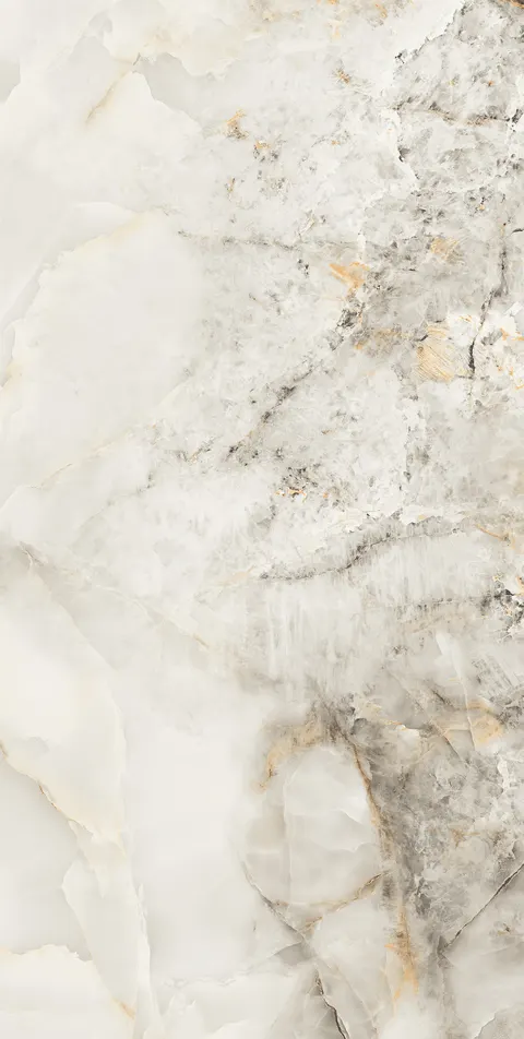 INTRA WHITE