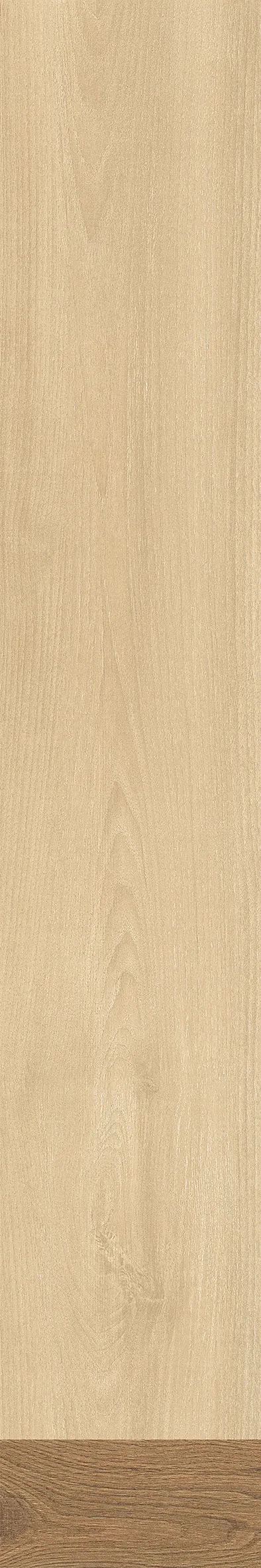 MARQUETRY PINE