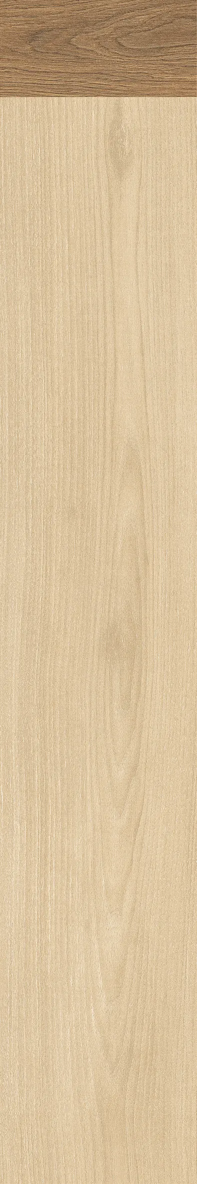 MARQUETRY PINE