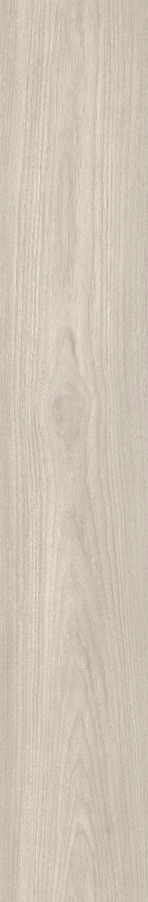 CANARY WOOD SILVER