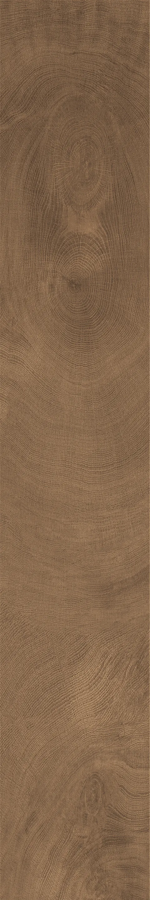 OXFORD COGNAC