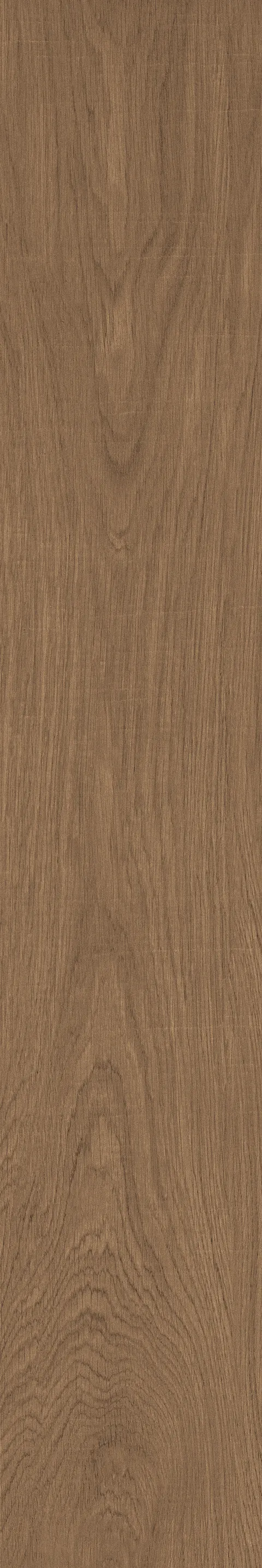 OXFORD COGNAC