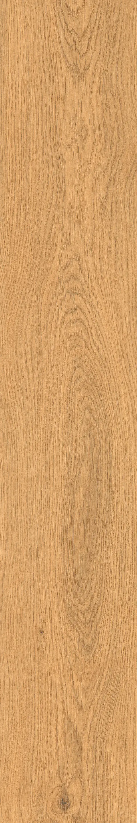 CORSON WOOD OCHRE