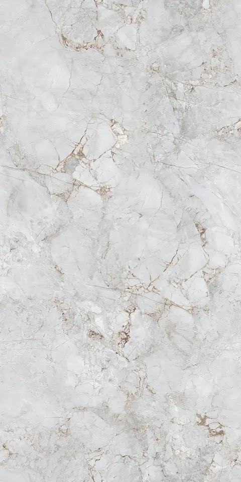 FOSSIL WHITE EVO