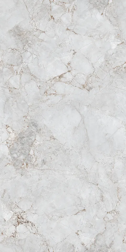 FOSSIL WHITE EVO