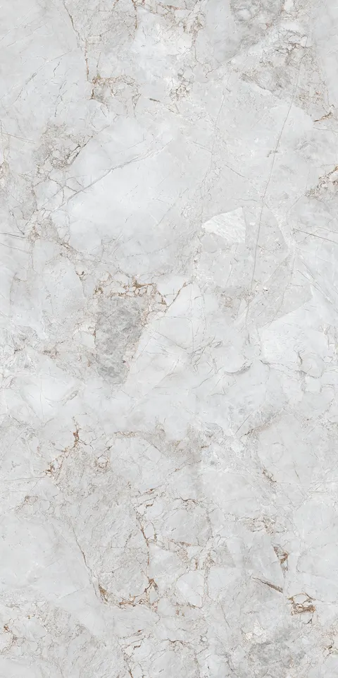 FOSSIL WHITE EVO