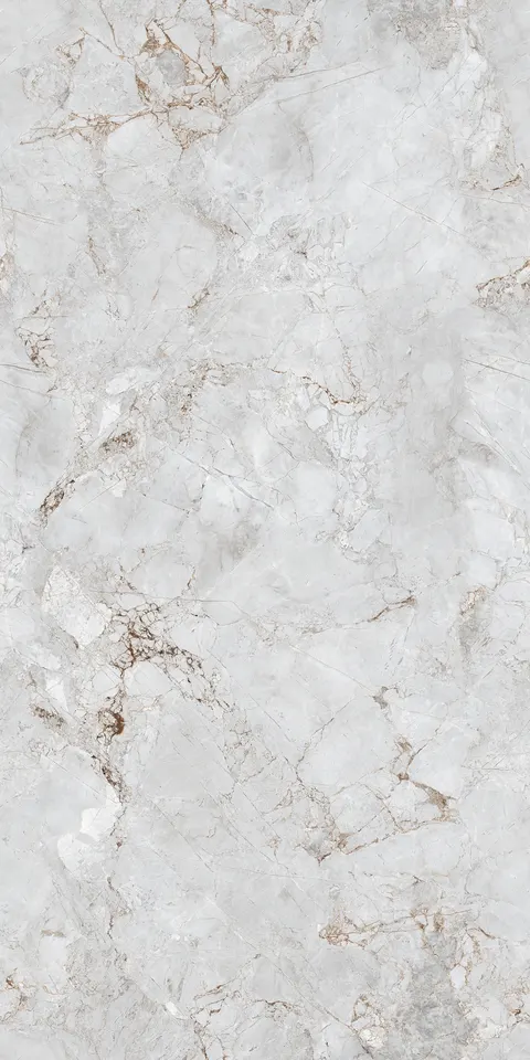 FOSSIL WHITE EVO