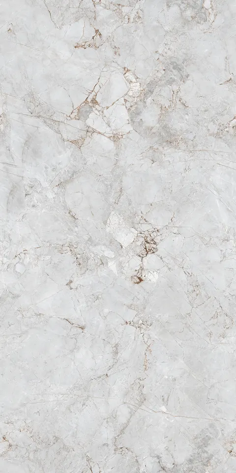 FOSSIL WHITE EVO