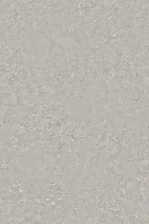 BELVE GREY