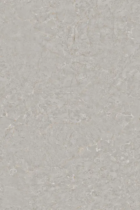 BELVE GREY